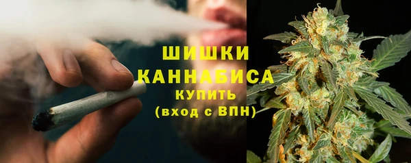 PSILOCYBIN Сатка