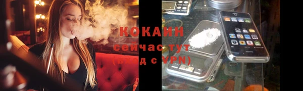 PSILOCYBIN Сатка