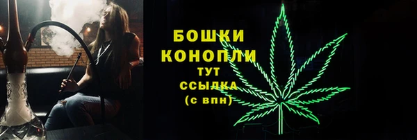 PSILOCYBIN Сатка