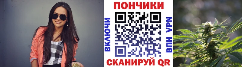 Каннабис сатива  Сосенский 